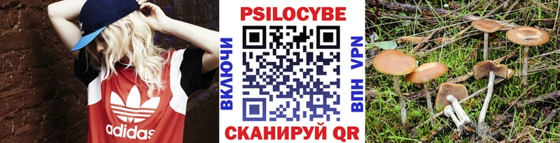 Псилоцибиновые грибы GOLDEN TEACHER  Себеж 